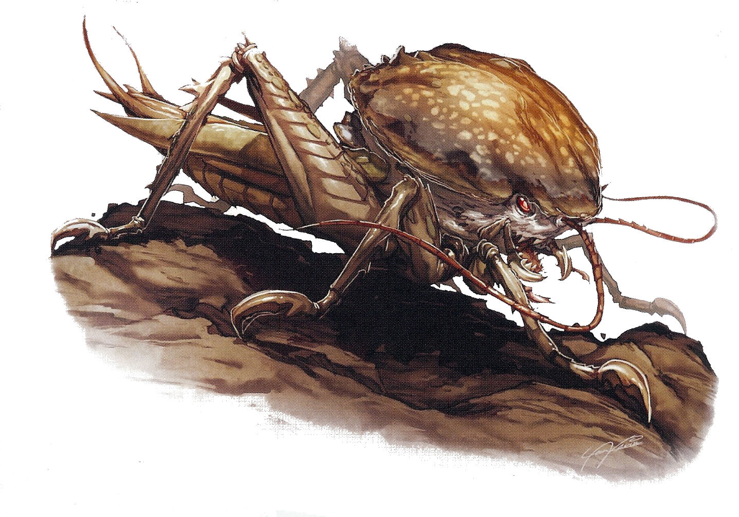 Fungal Crawler | 4E Conversion Wiki | FANDOM powered by Wikia