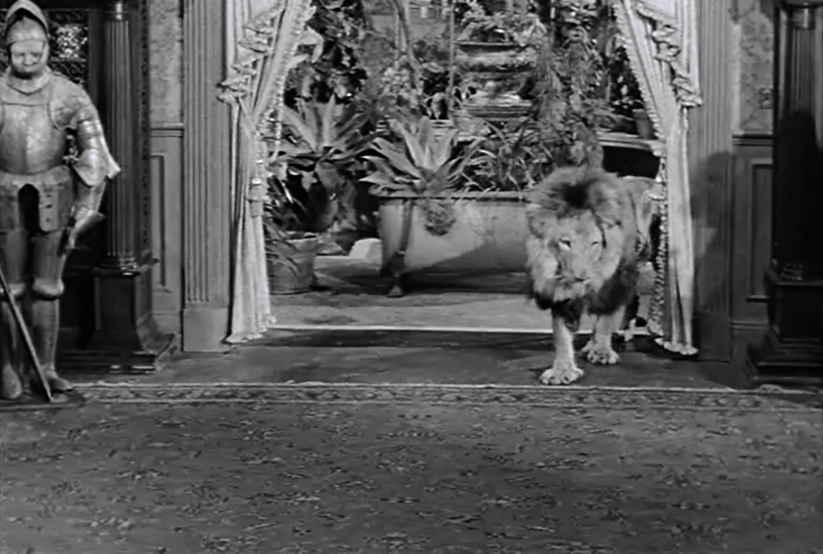 Kitty Kat Addams Family Wiki FANDOM powered by Wikia