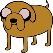 Jake Special Lighting