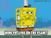 180?cb=20130827055640