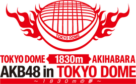 AKB48 in Tokyo Dome