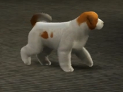 Pudge2