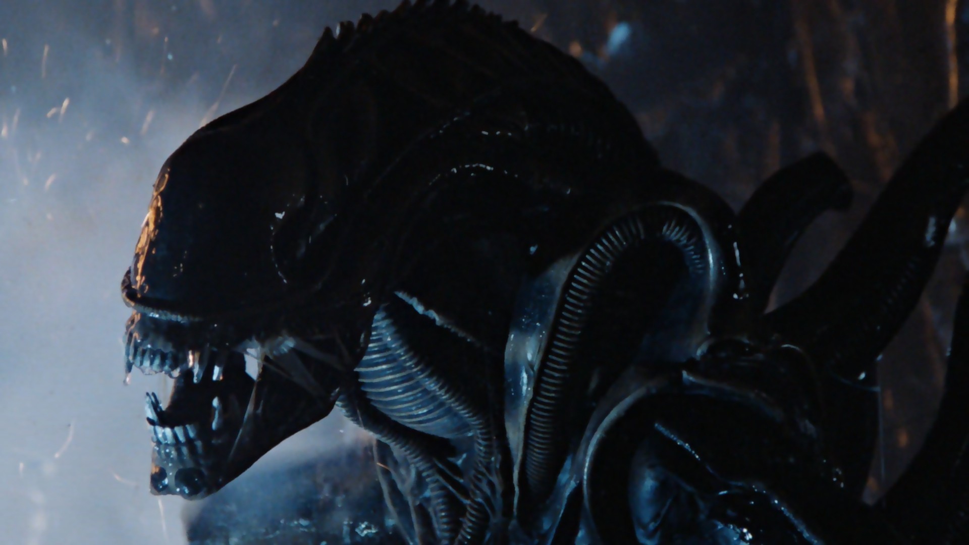 species movie wikipedia species movie wikipedia