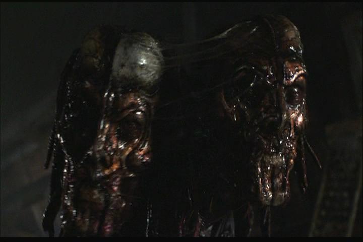 aliens anesidora length aliens anesidora length