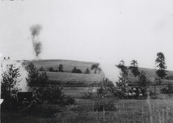Artillery mures