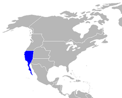 California au