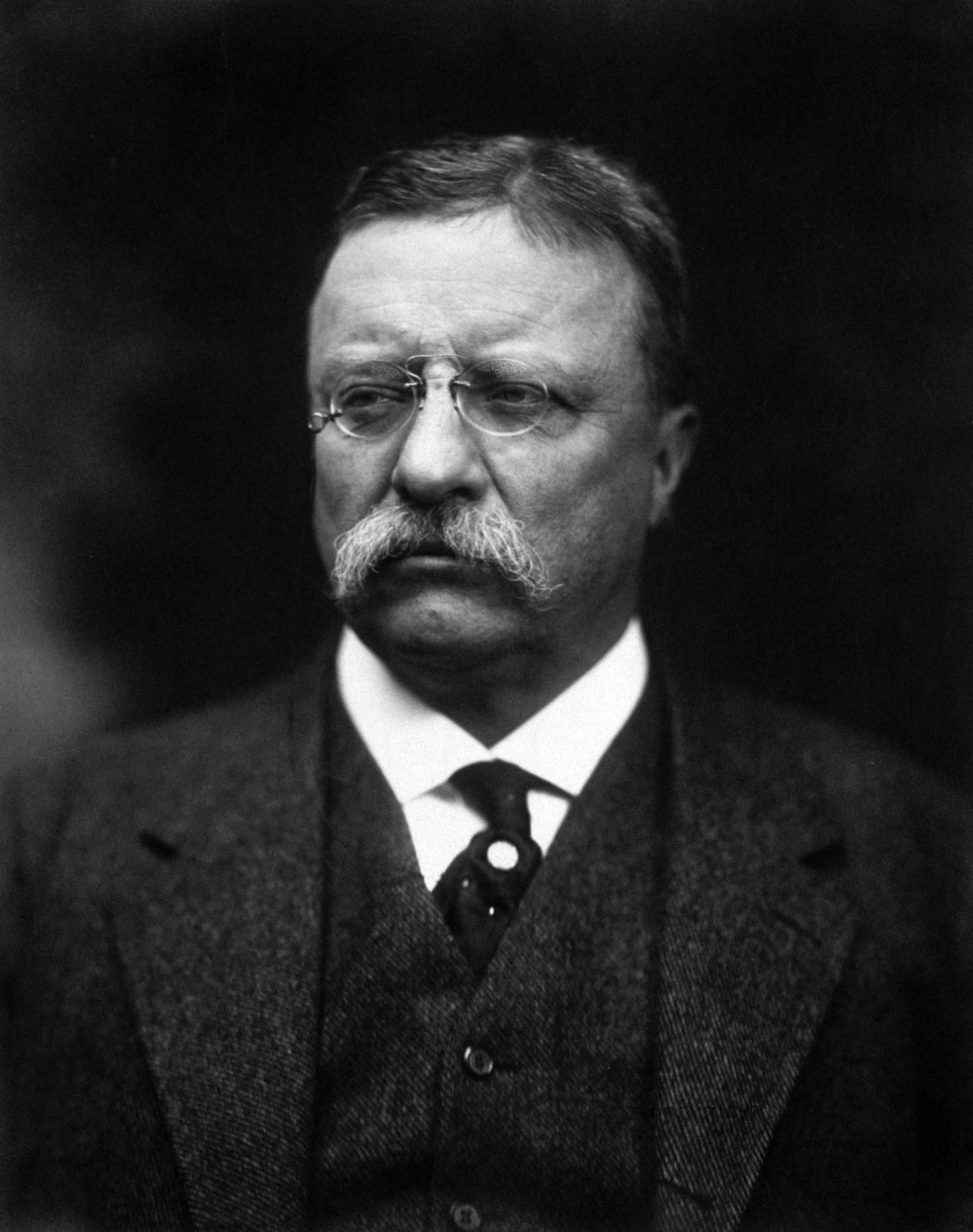 Category US Elections Reign Of Roosevelt Alternative History