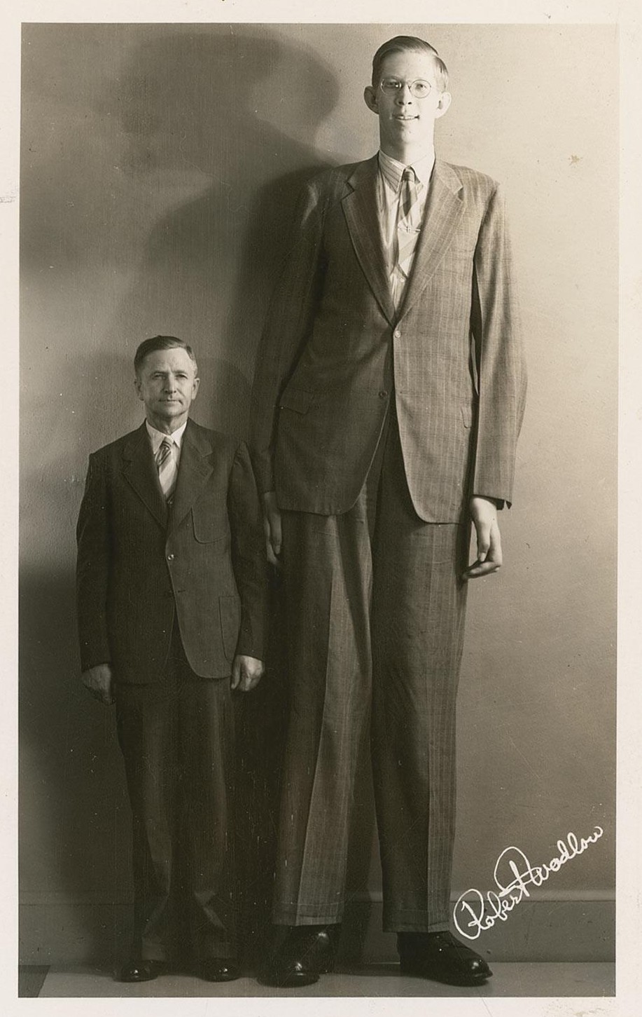 List Of Tallest People The Amazing Everything Wiki FANDOM Powered list-of-tallest-people-the-amazing-everything-wiki-fandom-powered