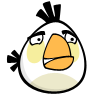 Whiteangrybird.png