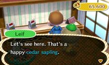 Sapling