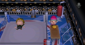 Boxing theme