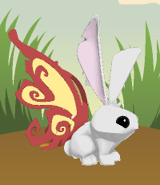 Animal Jam Bunny Animal Jam Bunny