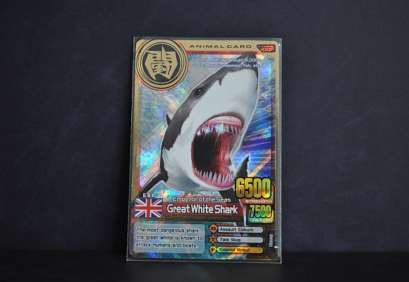 Great White Shark | Animal Kaiser Wiki | FANDOM powered by Wikia