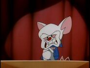pinky and the brain puppet rulers