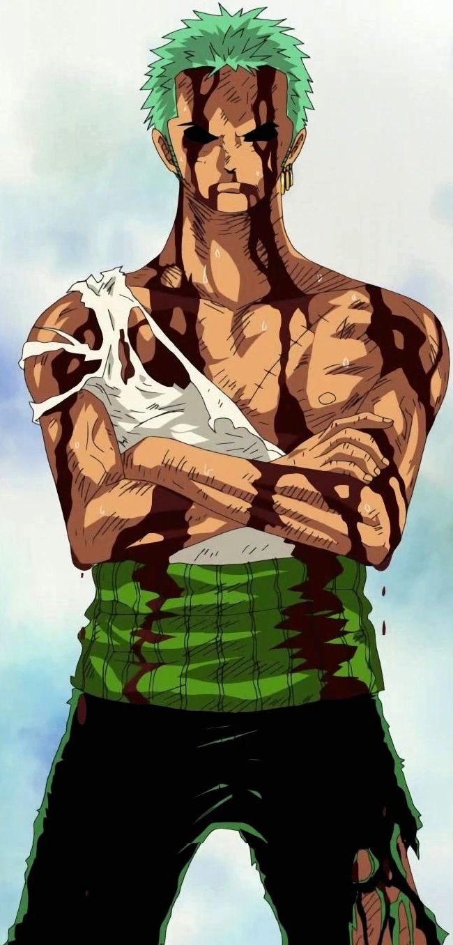 Roronoa Zoro/Abilities and Powers Anime And Manga Universe Wiki
