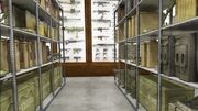 Armory