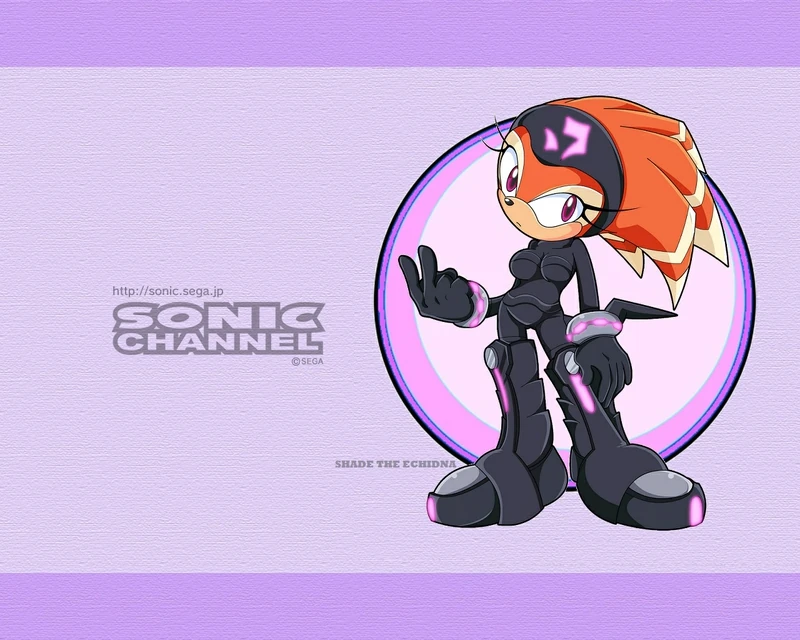 Shade the Echidna Archie Comics Sonic Fanon Wiki FANDOM powered by Wikia