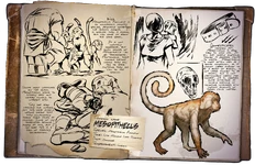 Обезьяна (4,67 МБ) Обезьяна