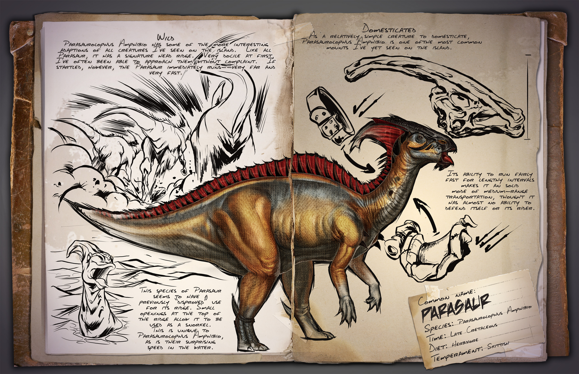 Parasaurolophus | ARK: Survival Evolved Wiki | FANDOM powered by Wikia