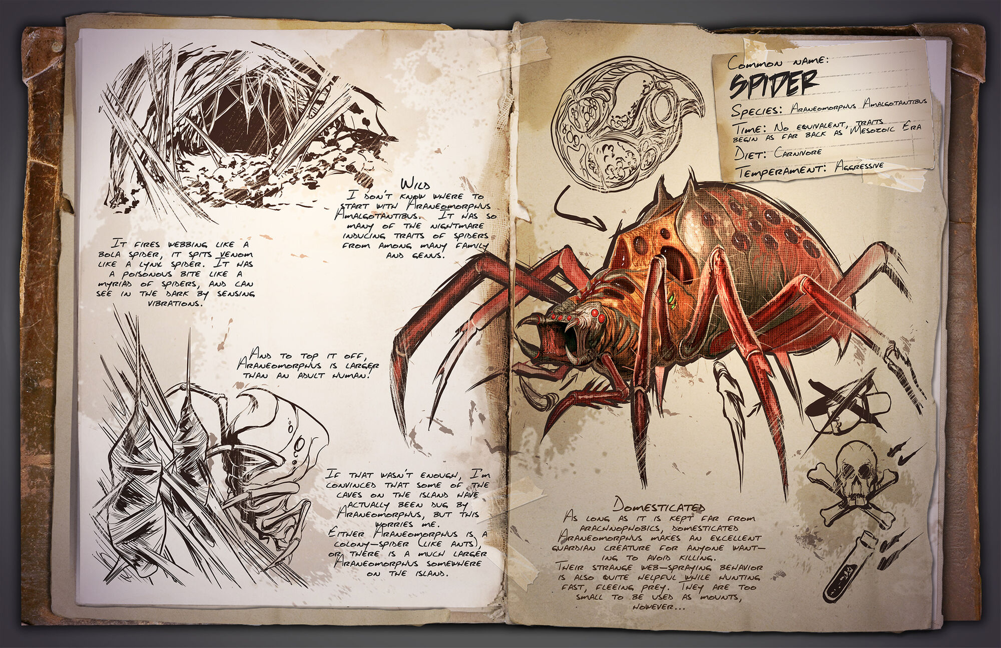 Araneomorphus | ARK: Survival Evolved Wiki | Fandom powered by Wikia