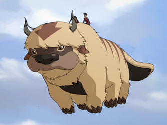 Lefty | Avatar Wiki | Fandom powered by Wikia