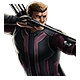 Hawkeye Icon Large 4