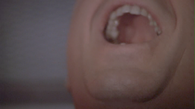 File:Garibaldi Screams.png