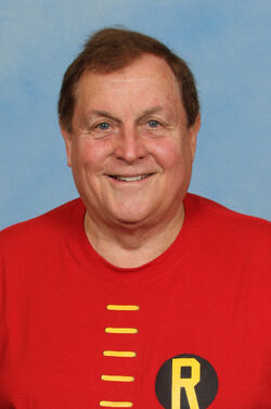 Burt Ward Net Worth