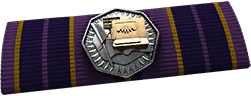 BF4_Chainlink_Ribbon.png