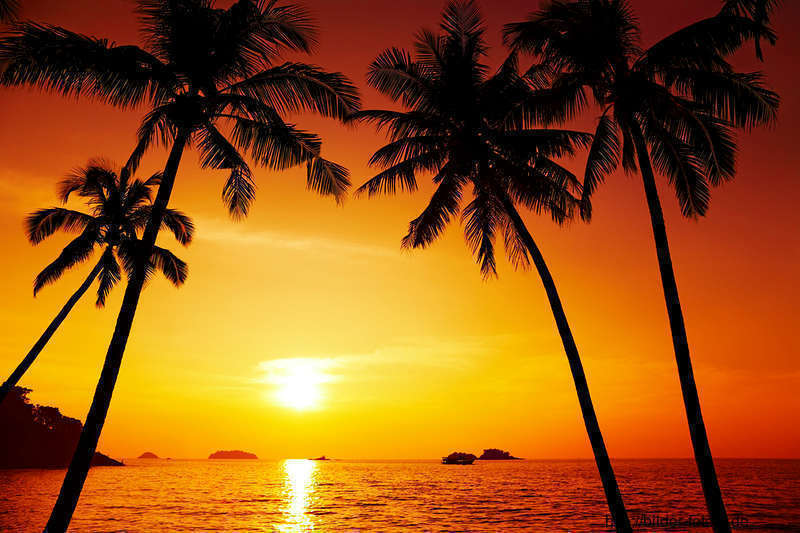 Strand Sonnenuntergang Palmen sdatec.com