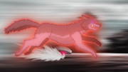 MFB Wolf