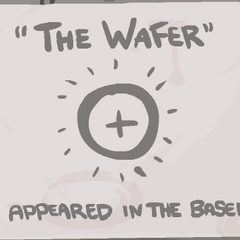 The Wafer