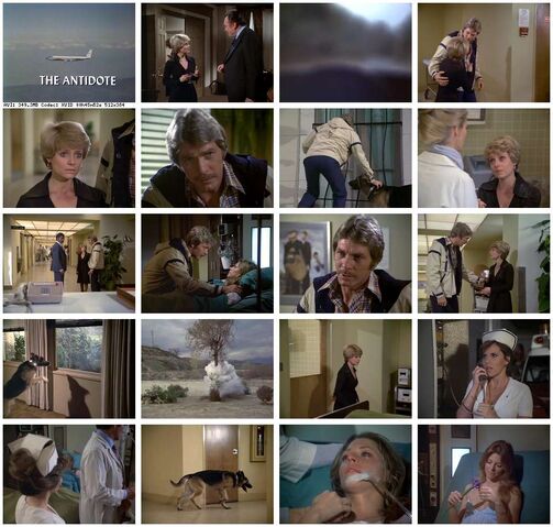 File:Th-The.Bionic.Woman.S03E14.jpg
