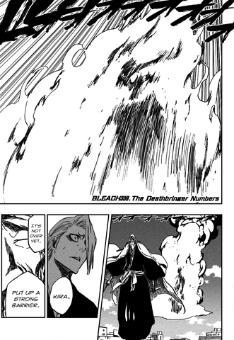 File:Bleach cover 339.png