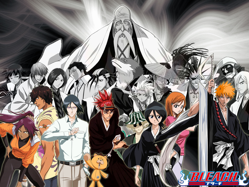 Image Gotei 13 Bleach.jpg Bleach Wiki FANDOM powered by Wikia