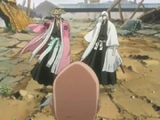 Shunsui and Ukitake face Yamamoto.jpg