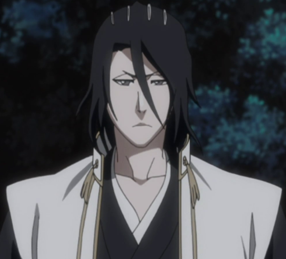 Byakuya Kuchiki Bleach Wiki FANDOM powered by Wikia