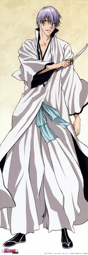 Gin Ichimaru2.jpg