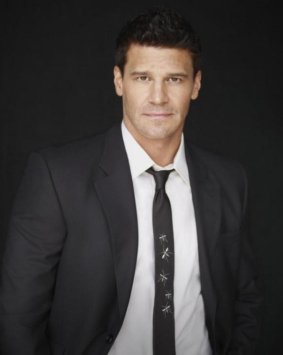 http://vignette2.wikia.nocookie.net/bones/images/6/69/Seeley-booth-promo-pic_558x700.jpg/revision/latest?cb=20120611033359