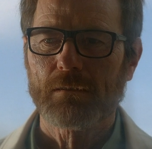 File:Walt Felina.png