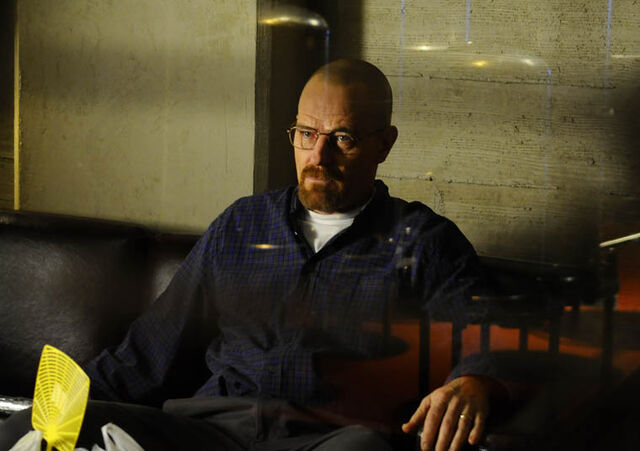 File:Episode-10-Walt-760.jpg