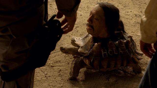 File:2x7 Tortuga.png