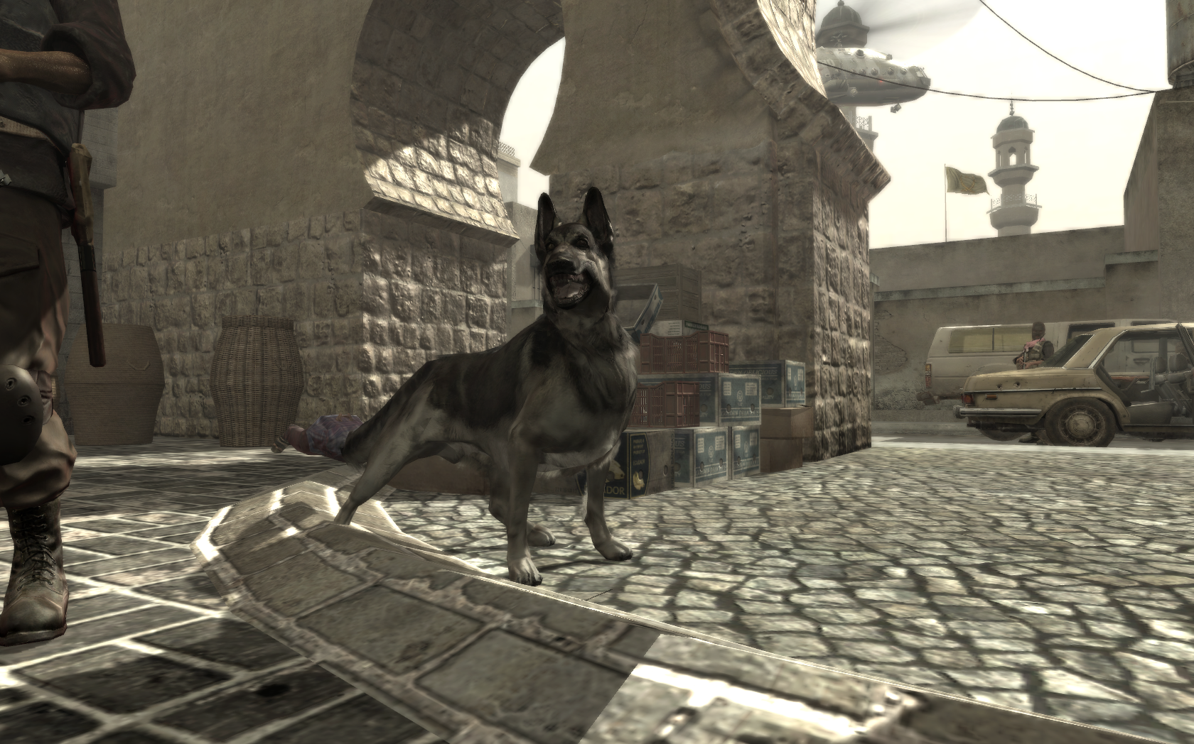Dog Animal Call Of Duty Wiki Fandom Powered By Wikia Dog Animal Call Of Duty Wiki Fandom Powered By Wikia
