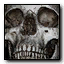 Skull emblem MW2