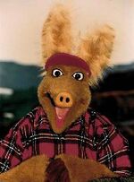 Otis the Aardvark | CBBC | Fandom powered by Wikia