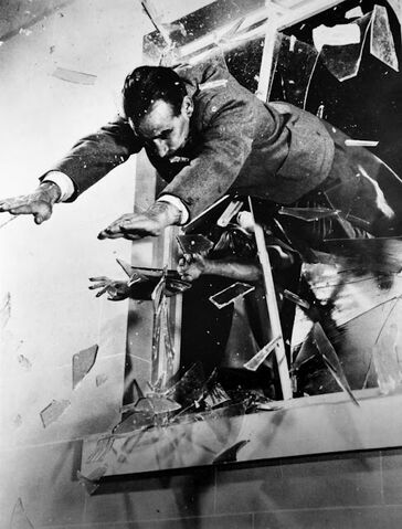 File:Autodefenestration.jpg