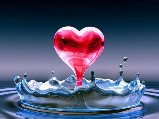 File:Amor-solido-y-liquido.jpeg