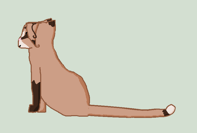 File:Willowtruth.png
