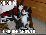 The Cat Knows The Answer