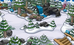 Bosques nuevo.png